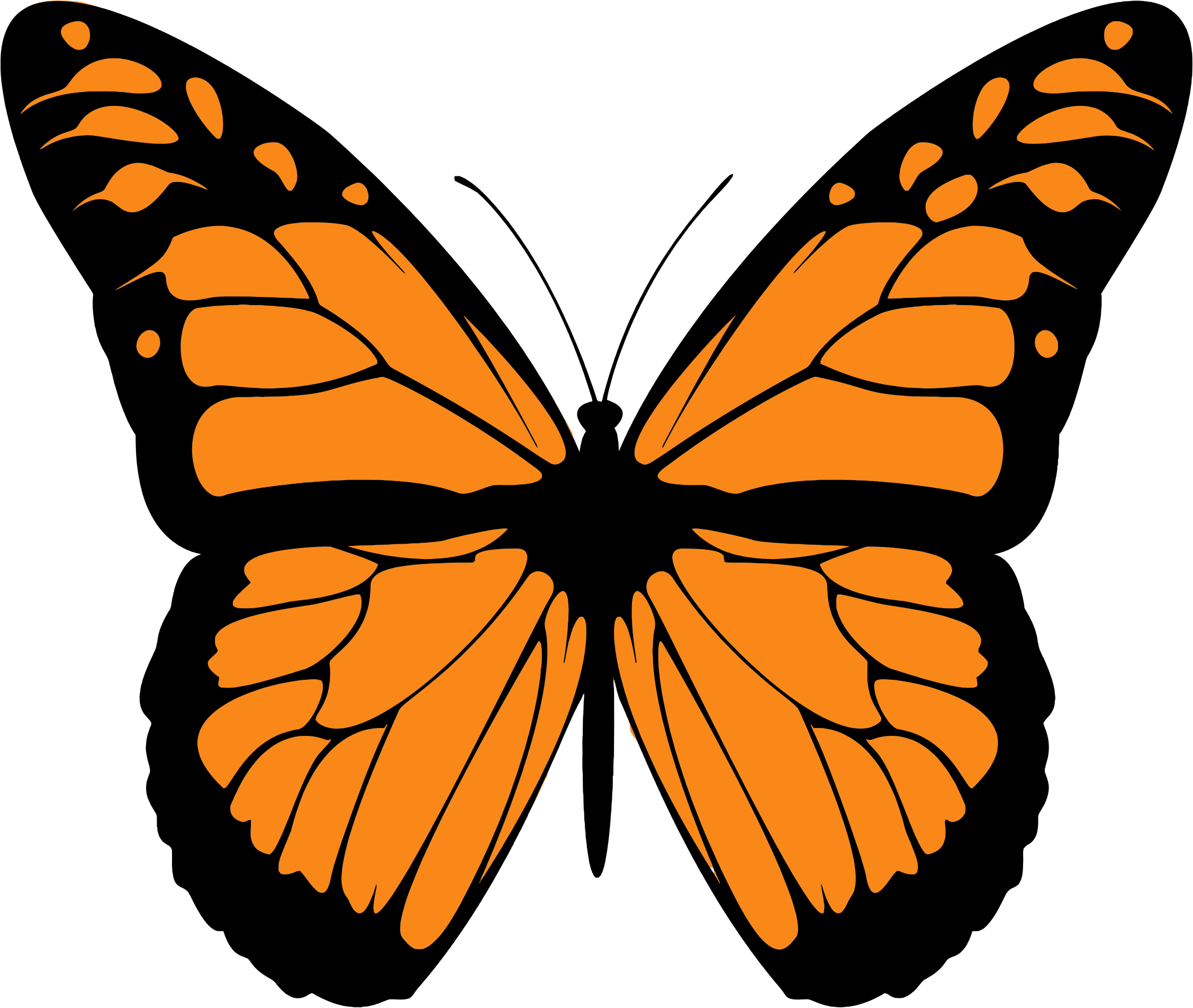 Monarch clipart - Clipground