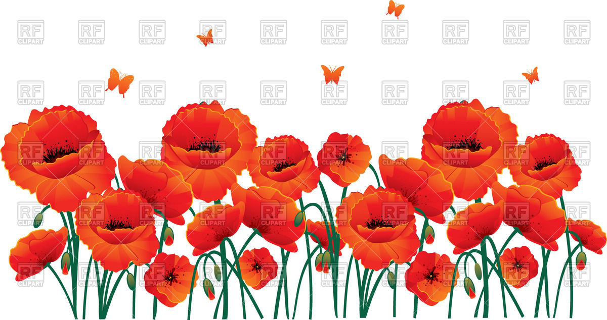 Poppy flower clipart - Clipground