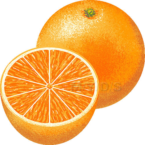 oranges clipart free - Clipground