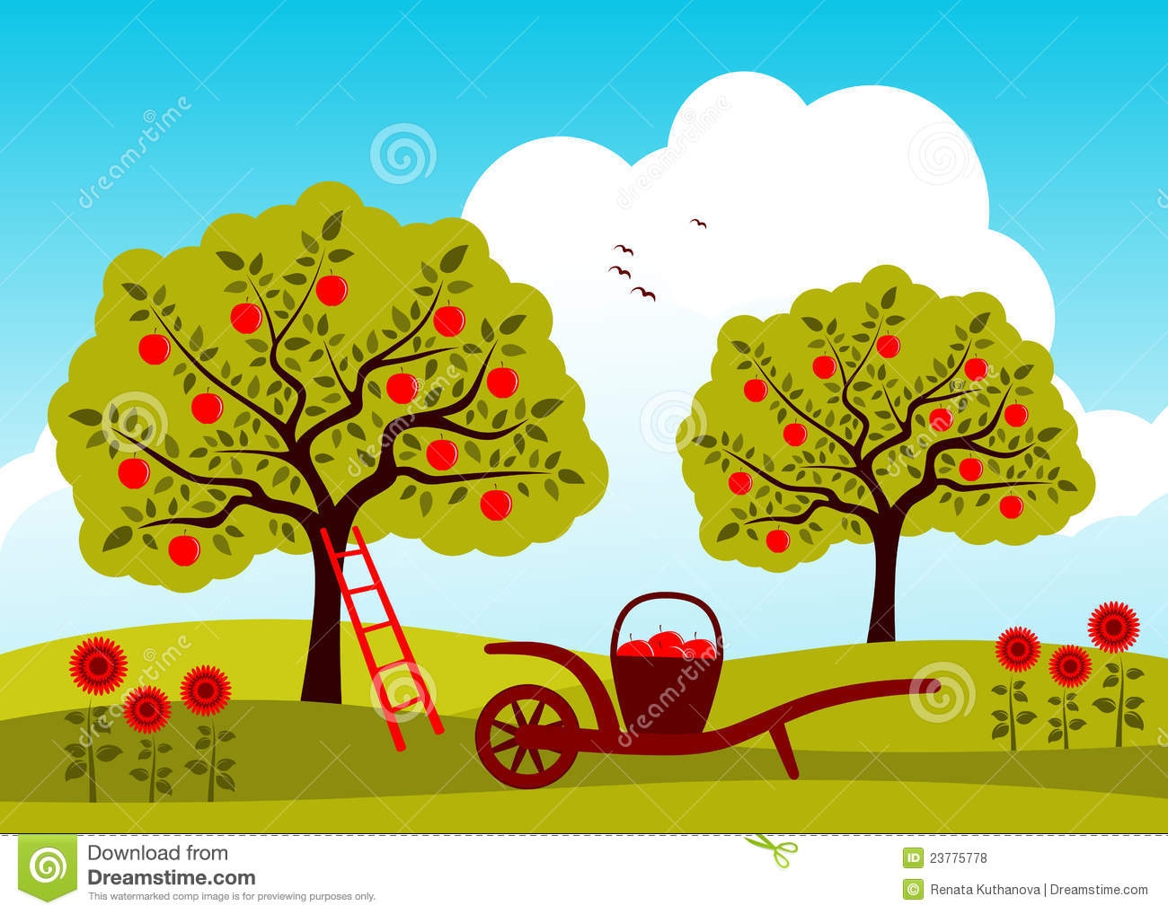 apple orchard clipart free - photo #23