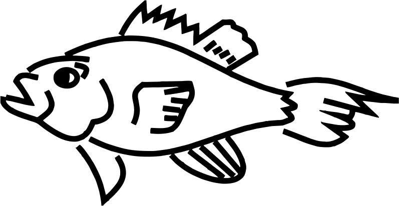 Parrot fish clipart - Clipground