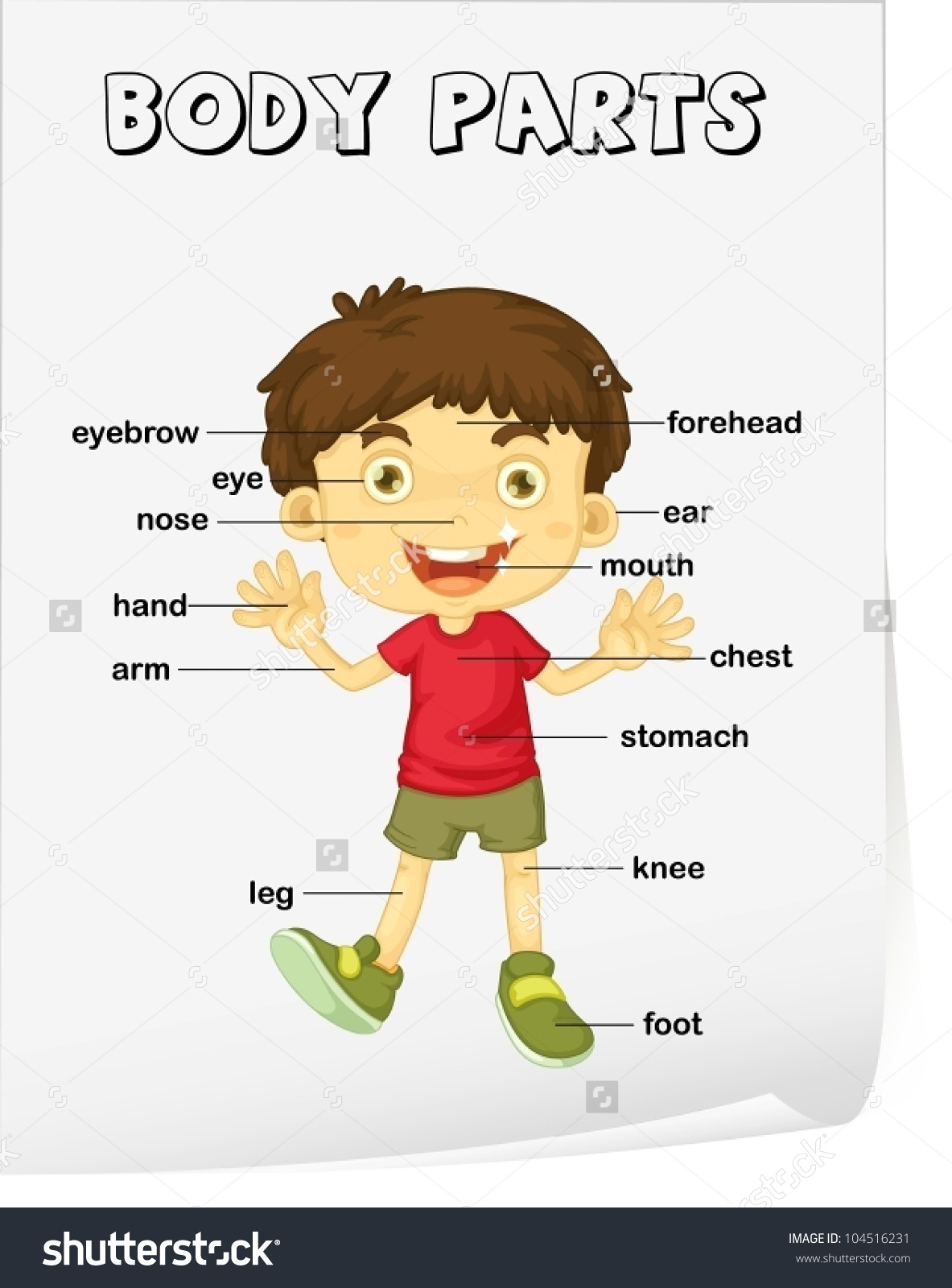 Parts of the body clipart - Clipground