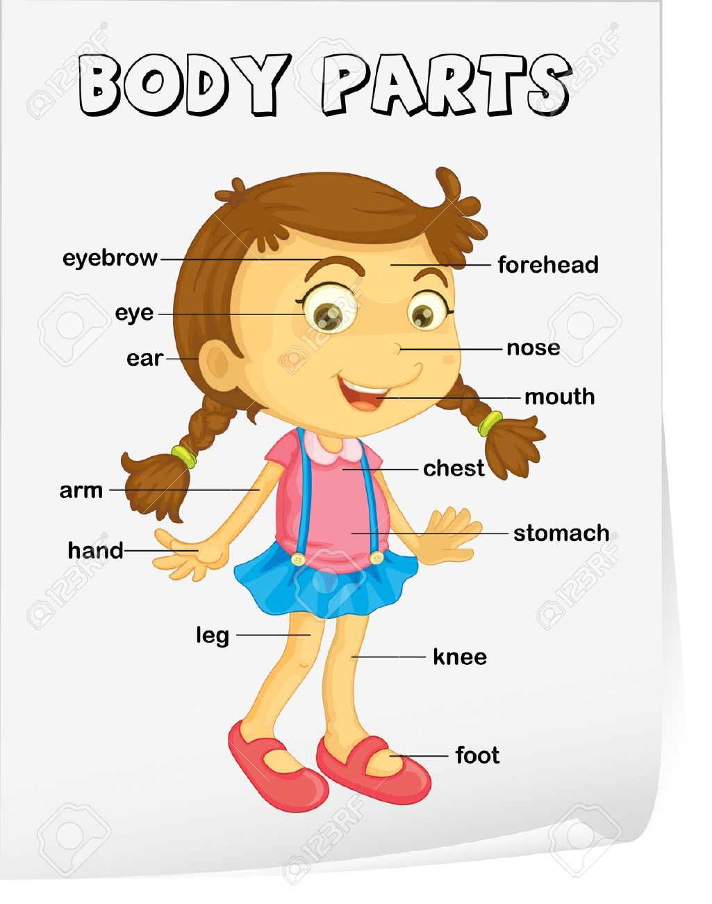 Body Parts Diagram Clipart Clipart Of Parts Of The Body K