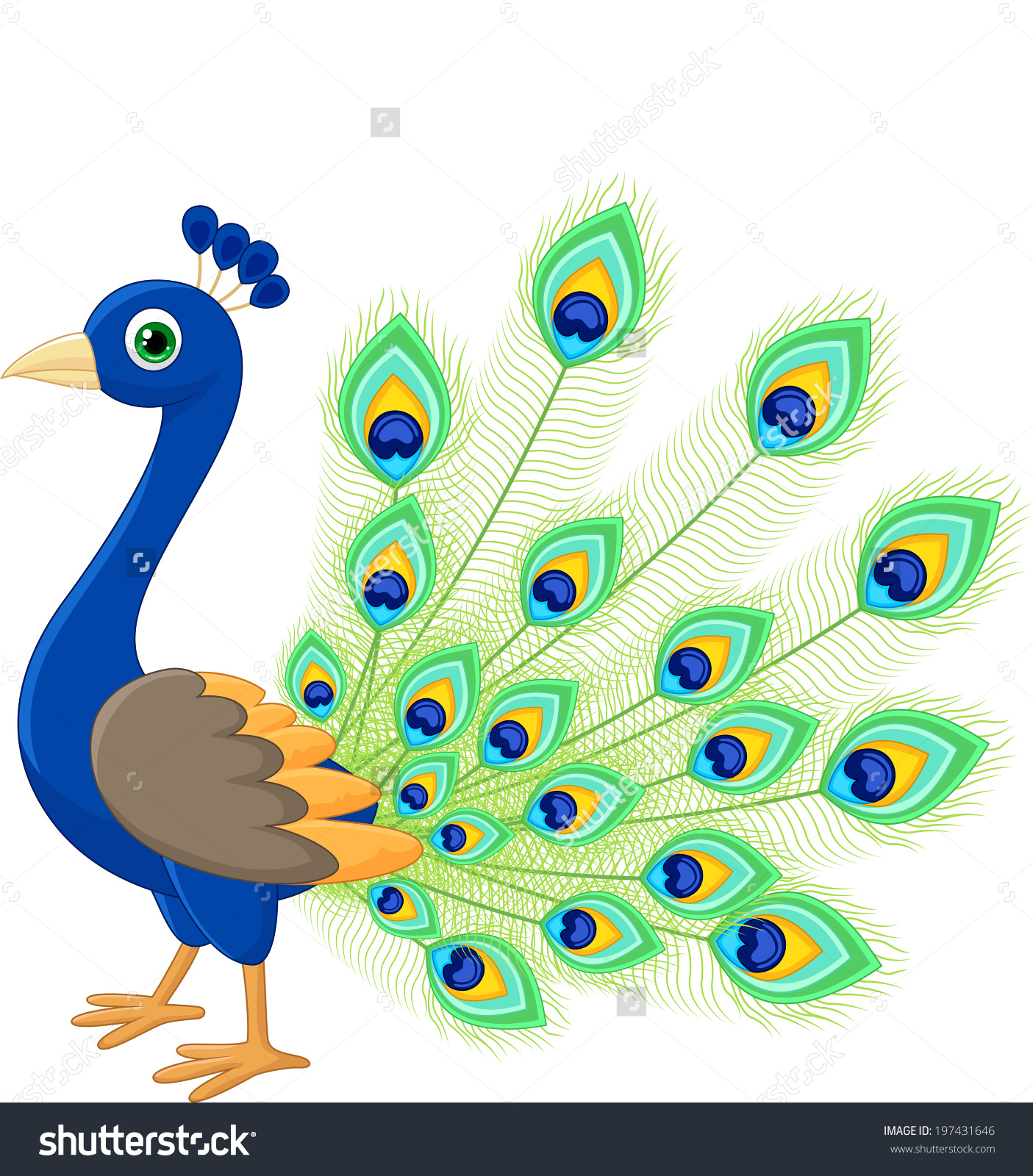 clipart pictures peacock - photo #30