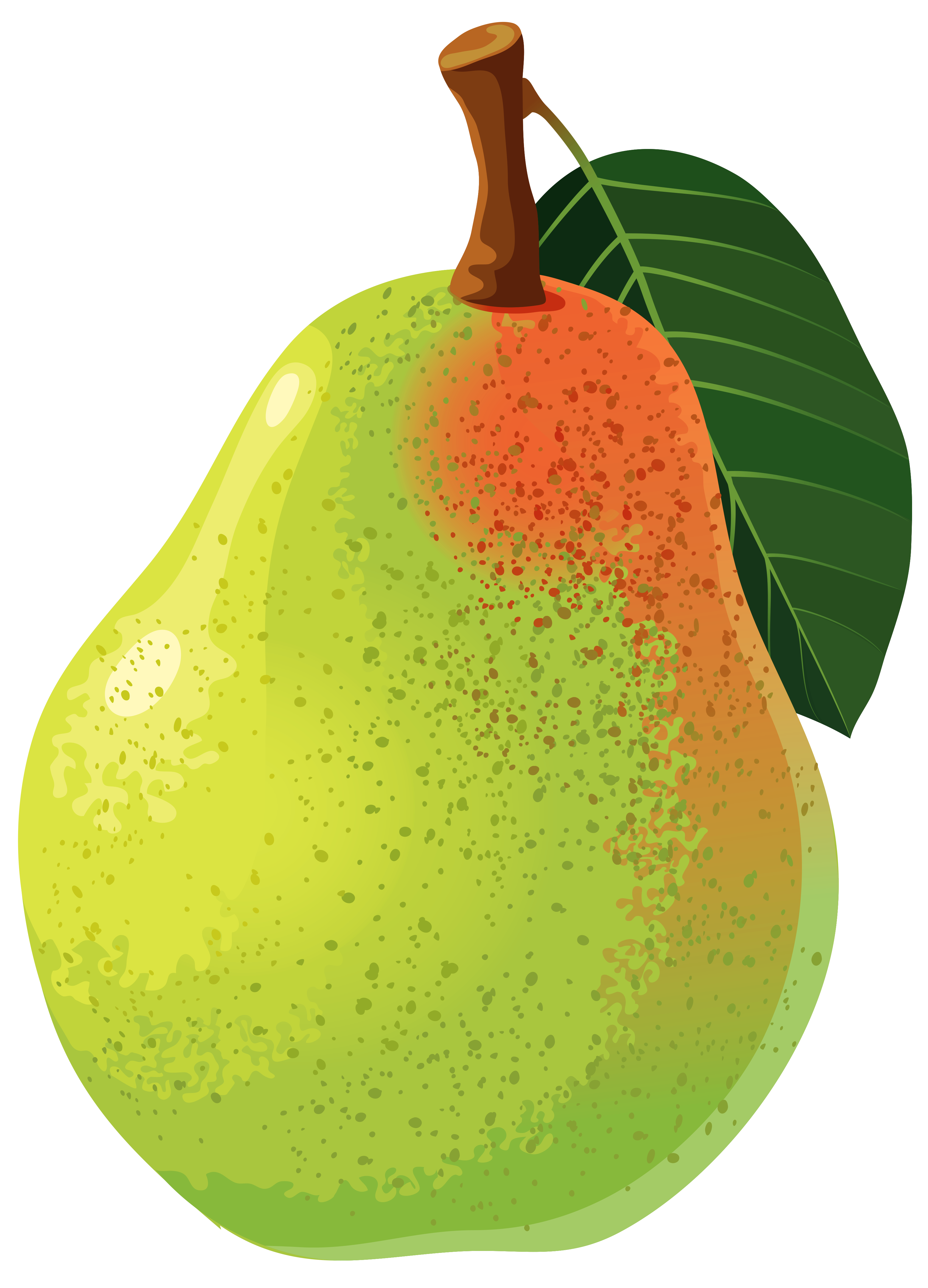 green pear clip art - photo #14