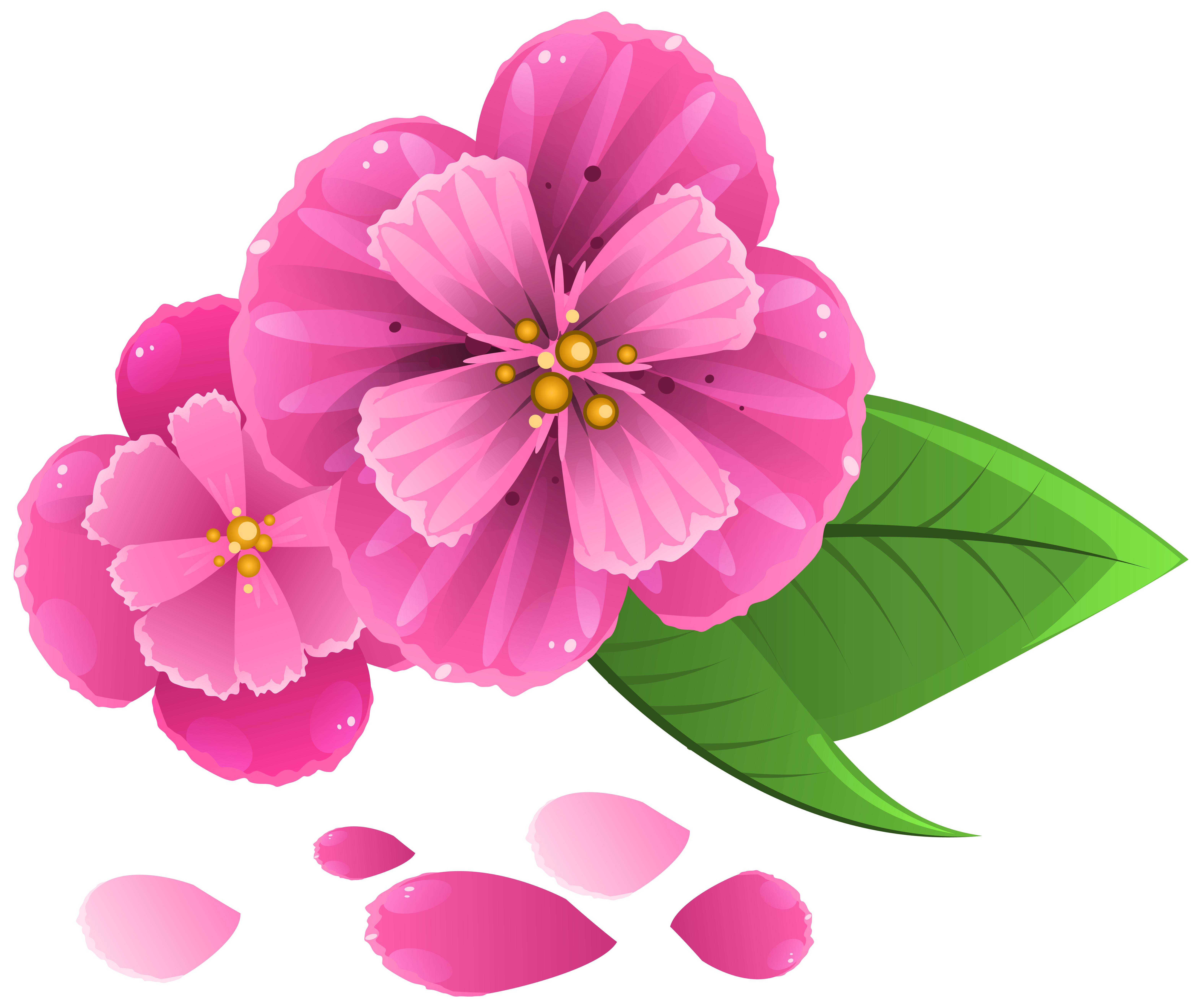 Clipart Flower Petals