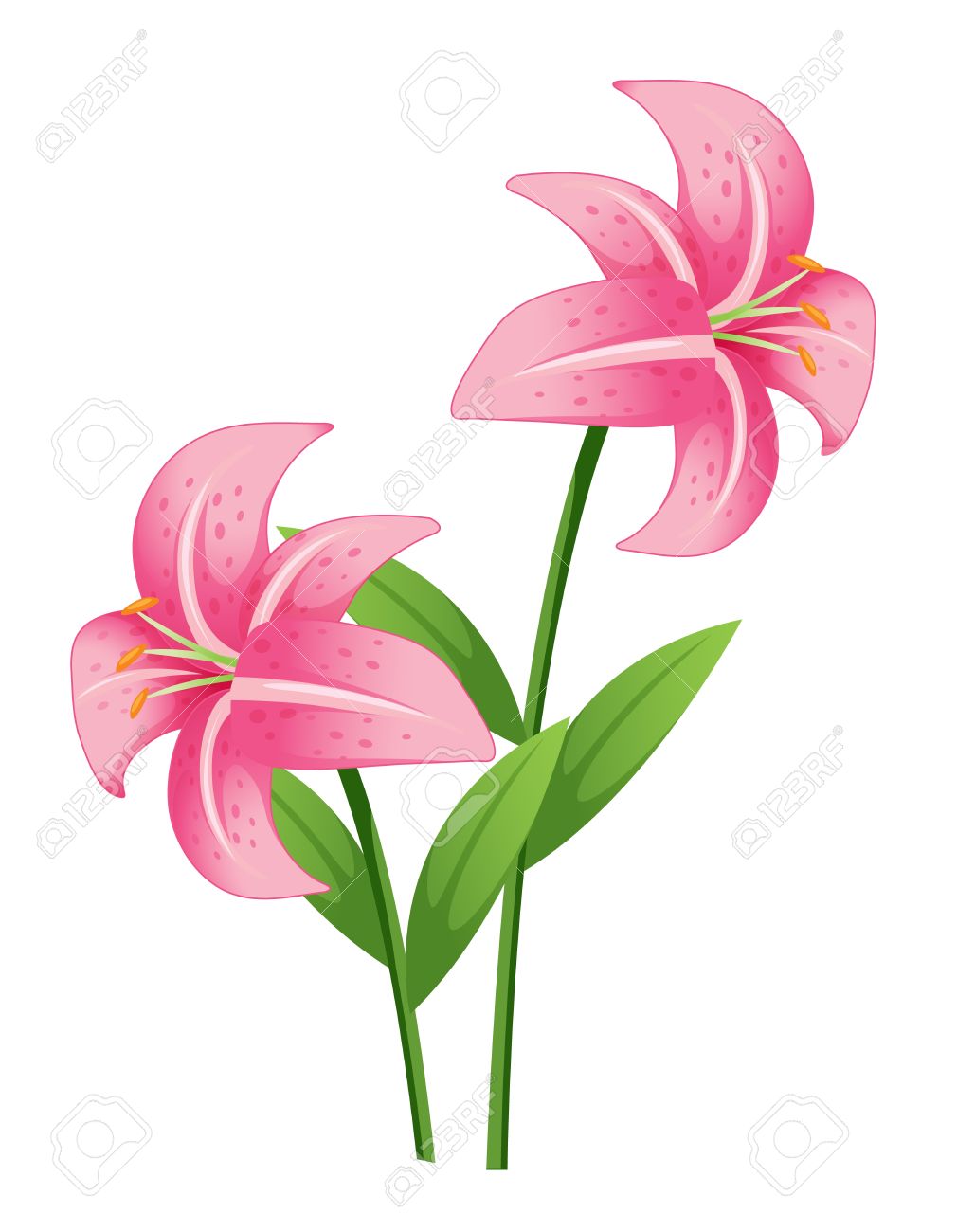 orchid flower clip art free - photo #39