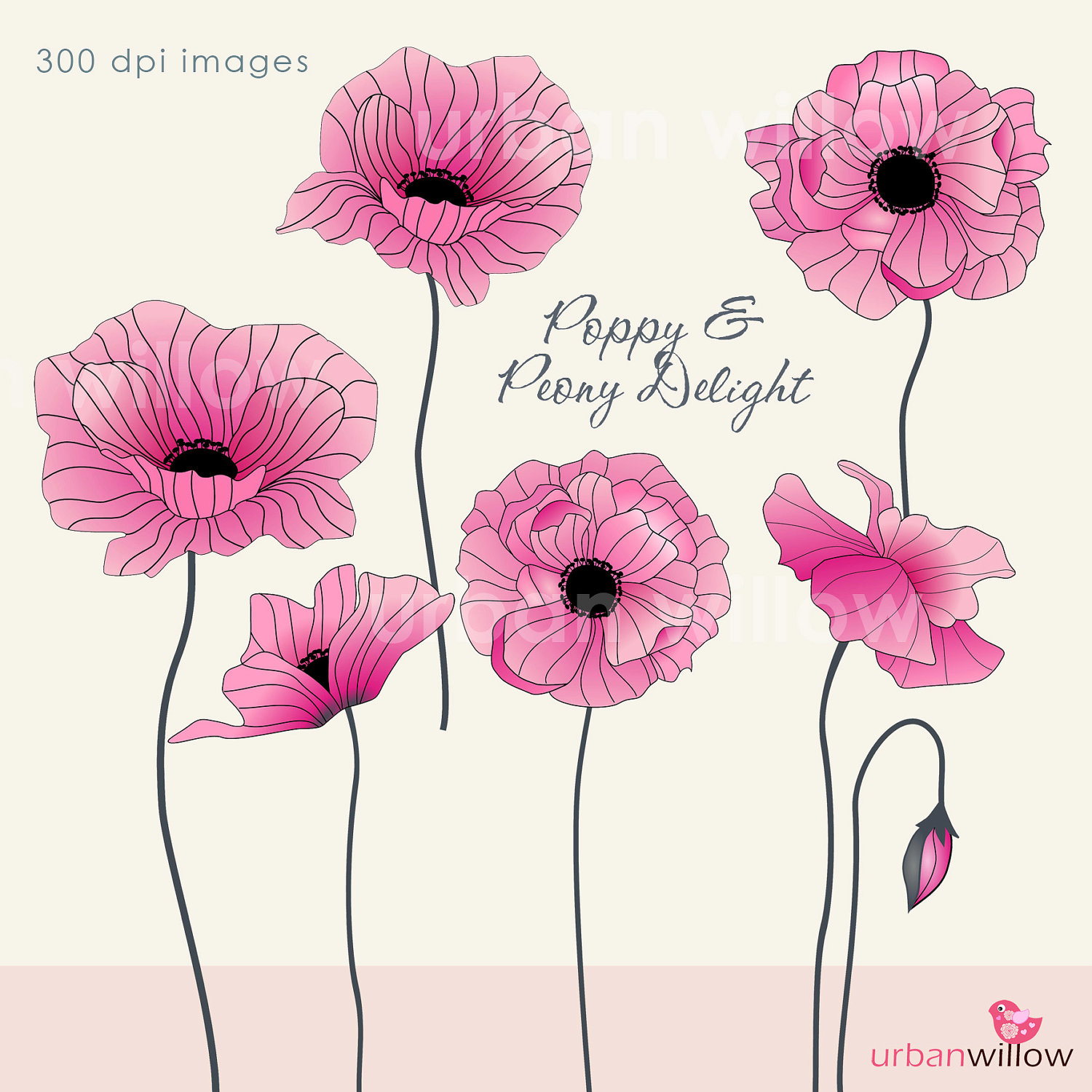 Pink poppy clipart - Clipground