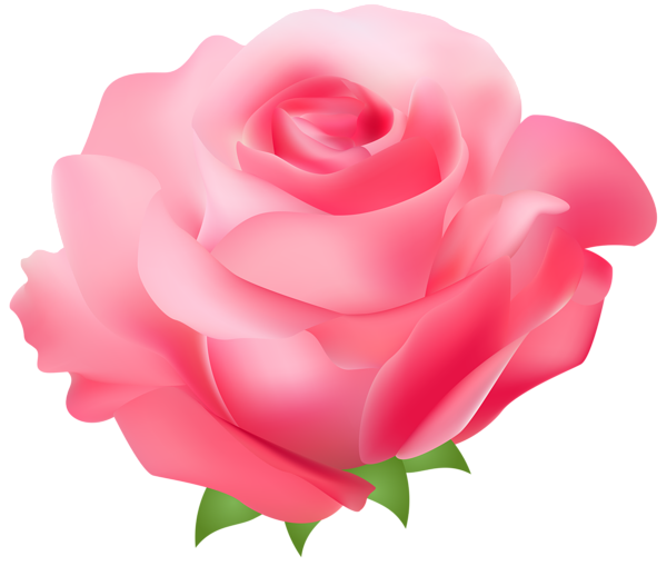 rose clip art sms - photo #9
