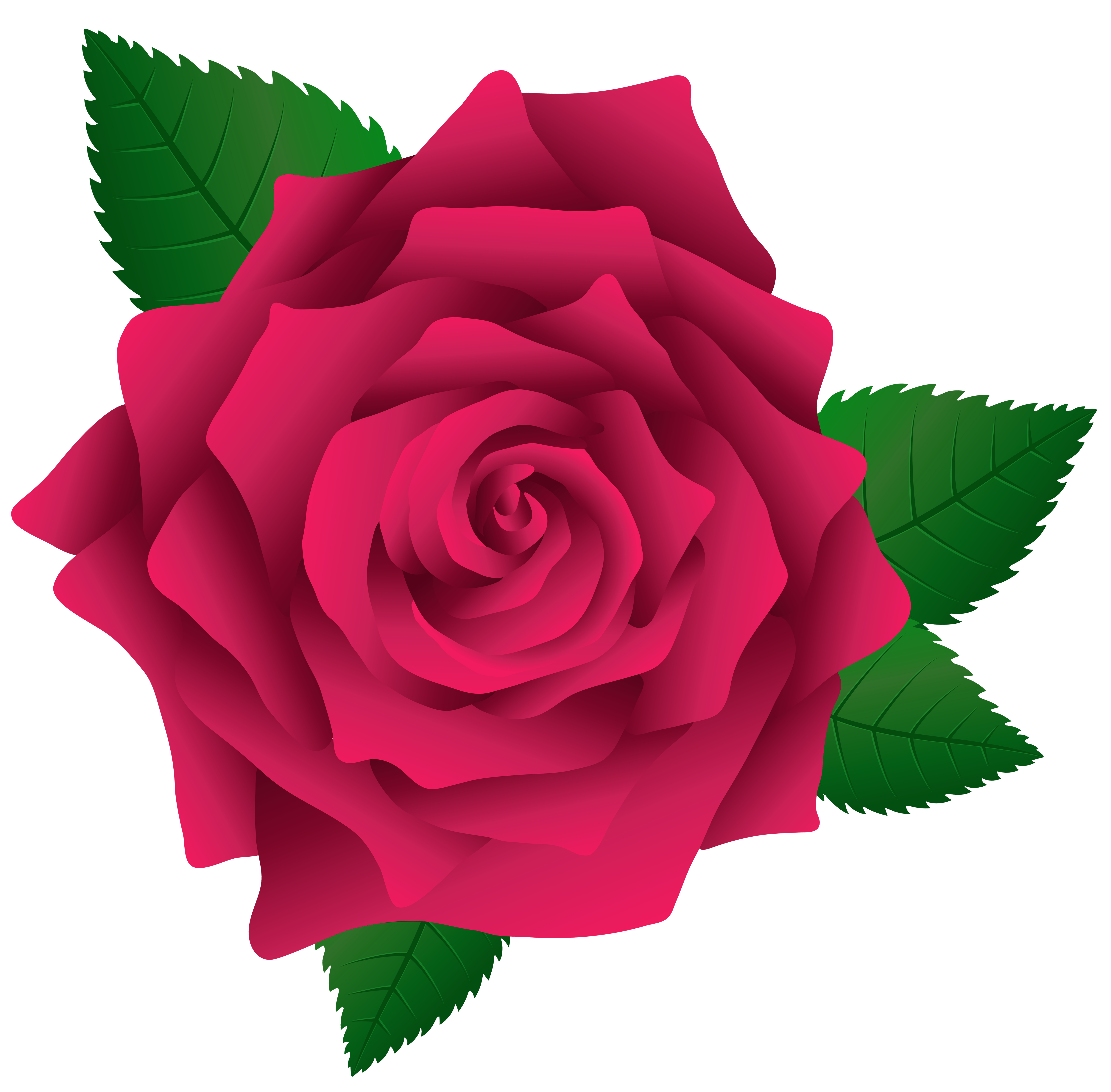 clipart pink rose flower - photo #48