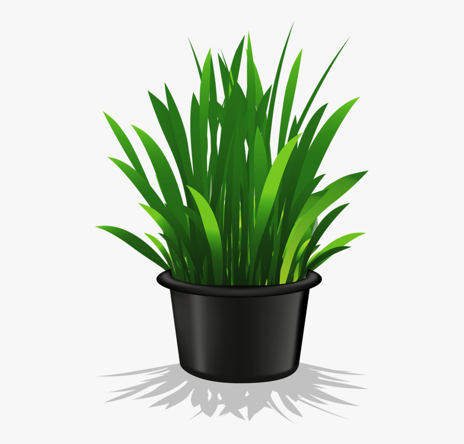 plant pot clip art 10 free Cliparts | Download images on Clipground 2019