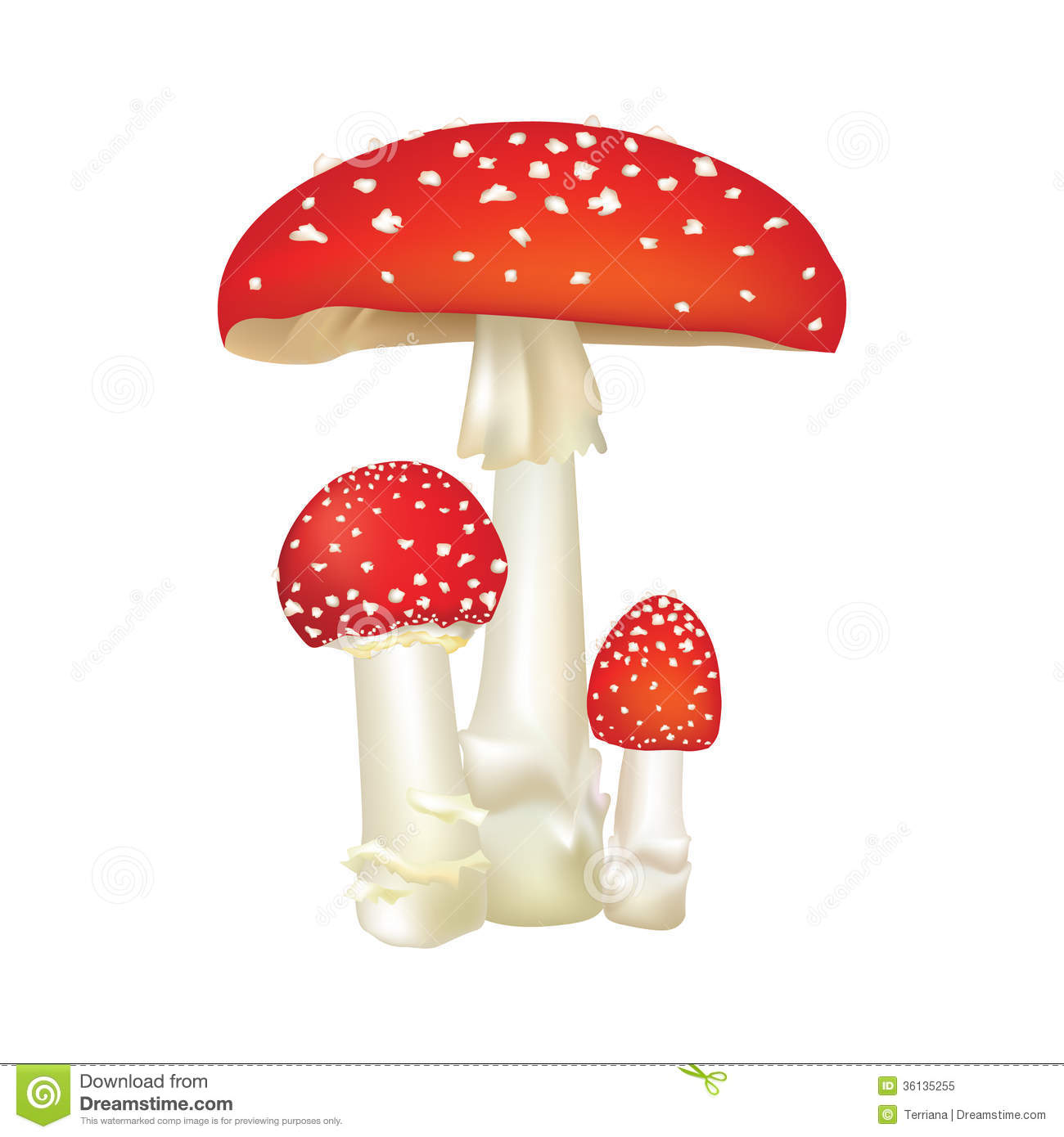 Poisonous mushroom clipart - Clipground