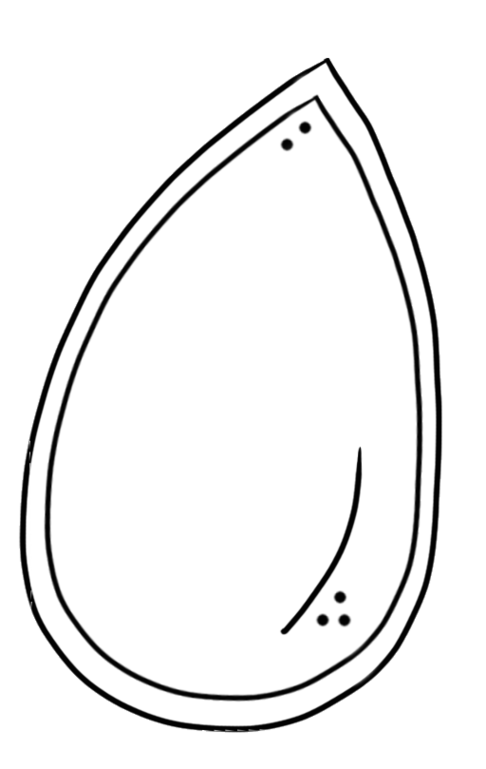 seed-clipart-clipground