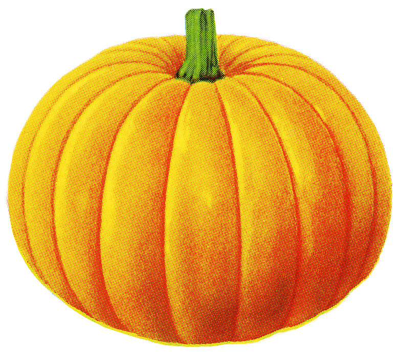 Pumpkin Species Clipart Clipground