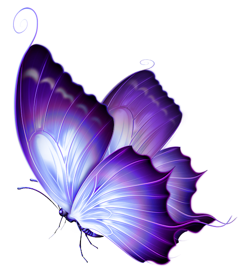 Purple Butterfly Png Clipart Clipground