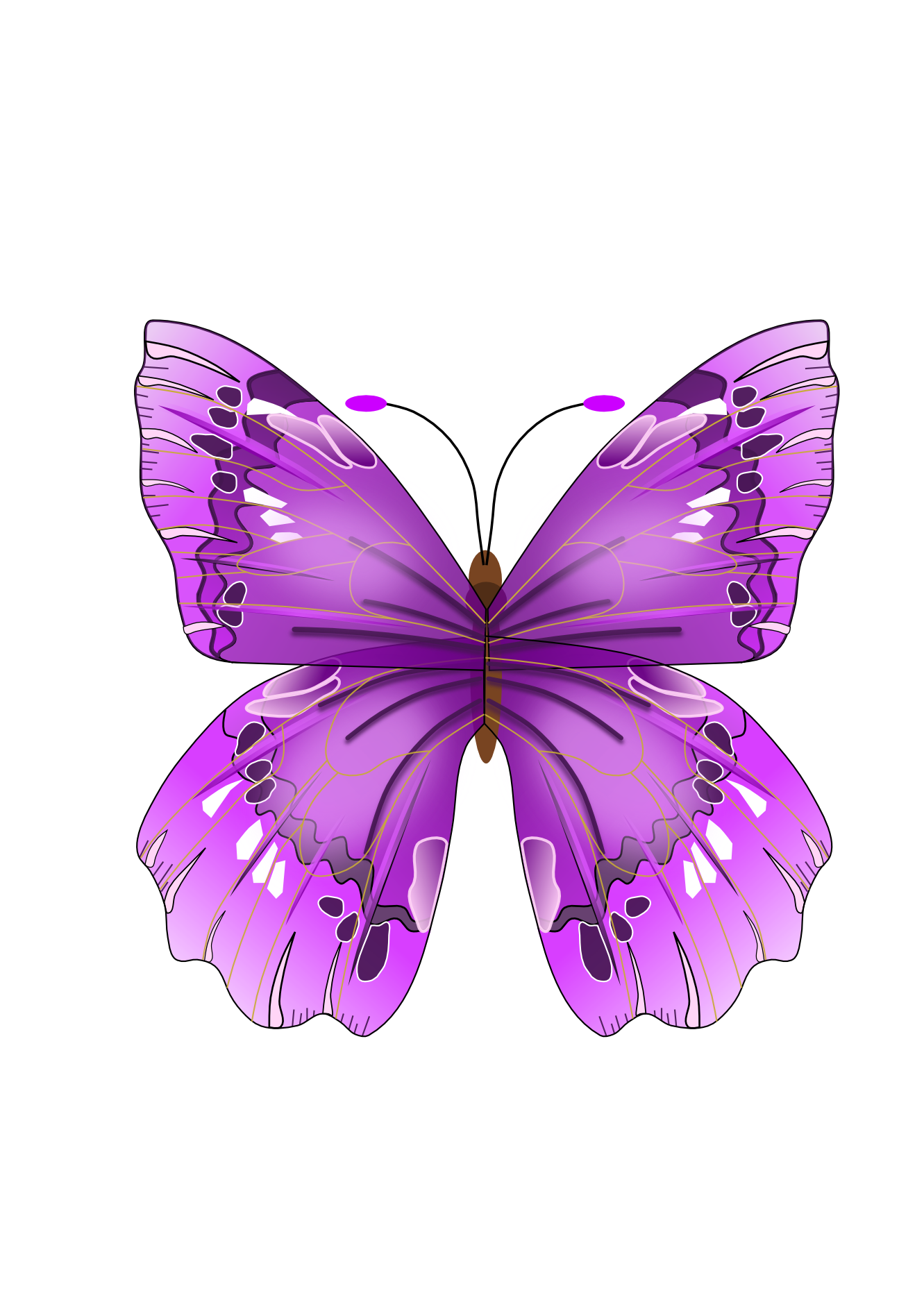purple butterfly png clipart - Clipground