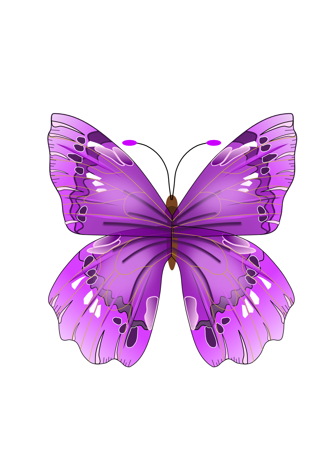 Mariposas En Png Png Image Collection