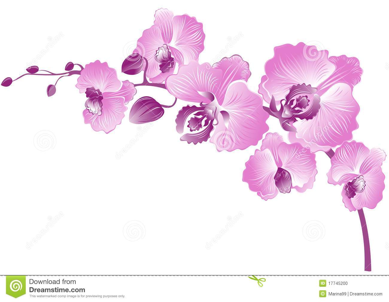 orchid flower clip art free - photo #50