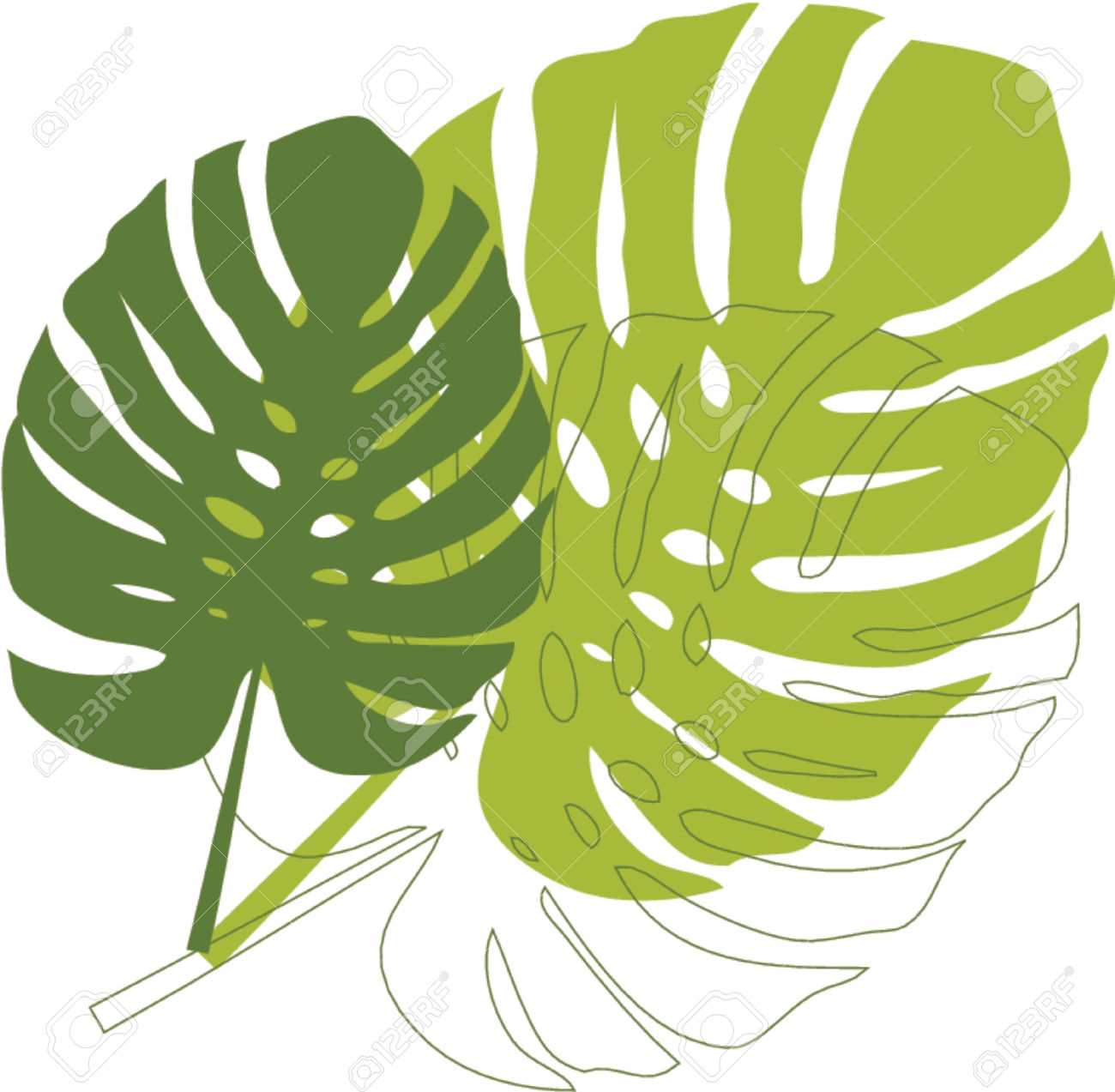 rainforest leaves clipart - Clipground