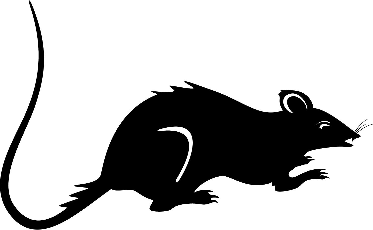 Rats clipart - Clipground