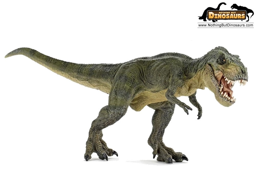 realistic t rex clipart - Clipground