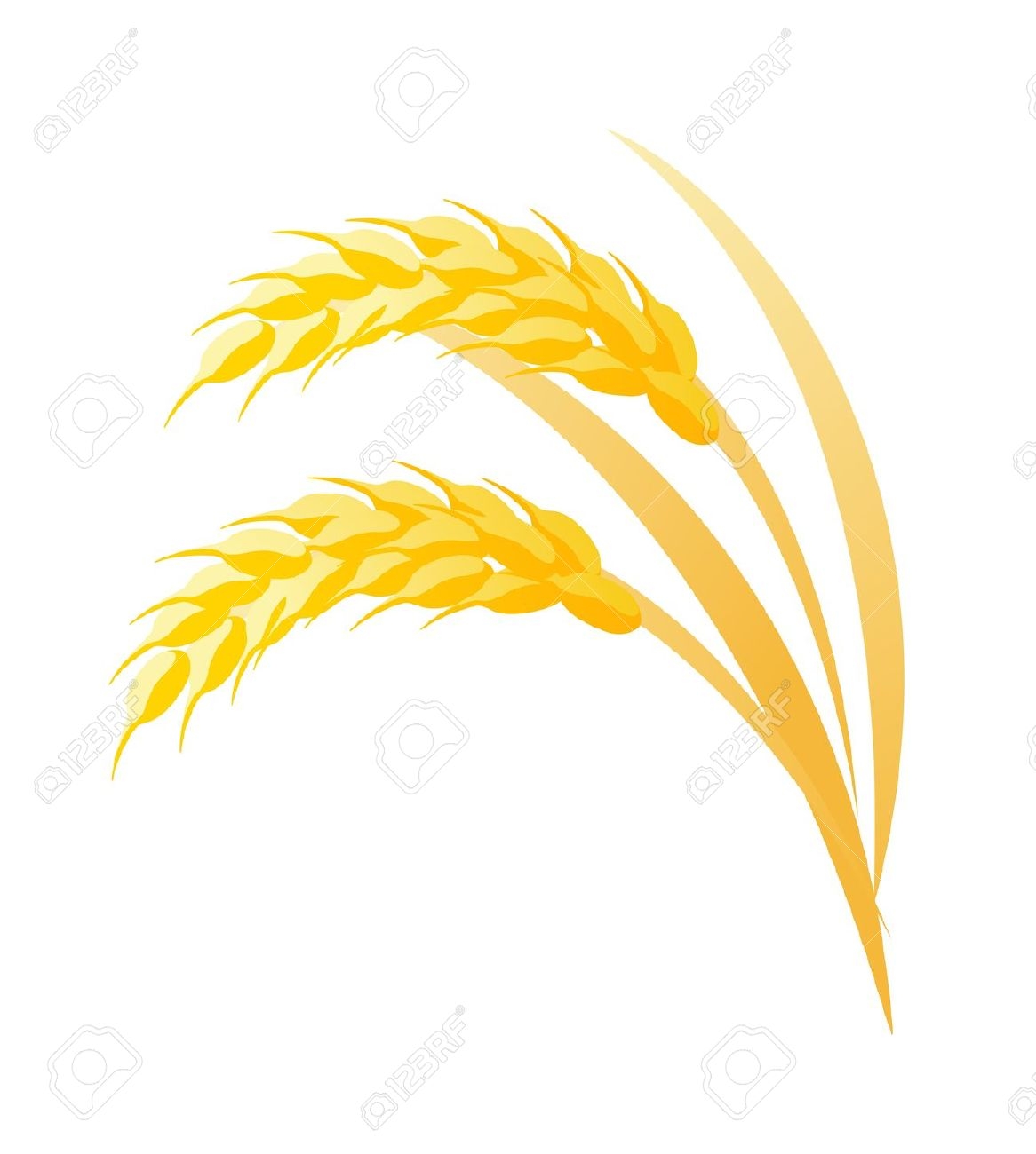 clipart of rice - photo #32