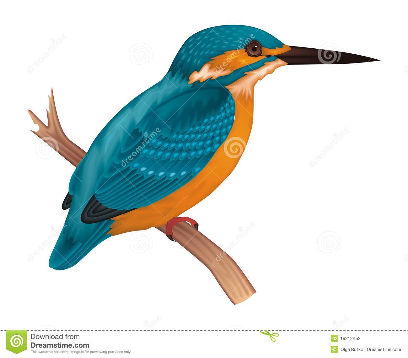clipart kingfisher bird - photo #4