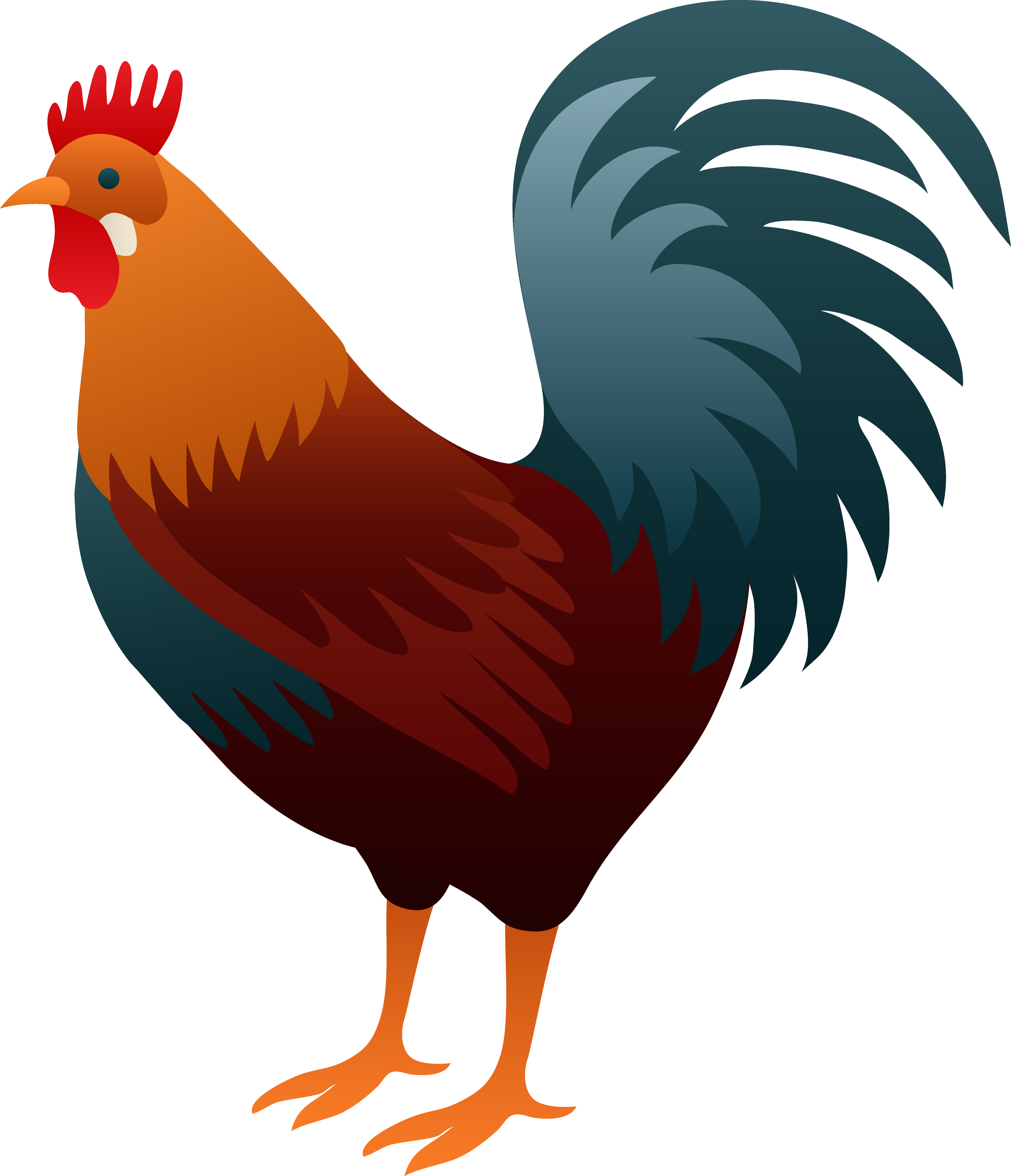 roosters-clipart-clipground