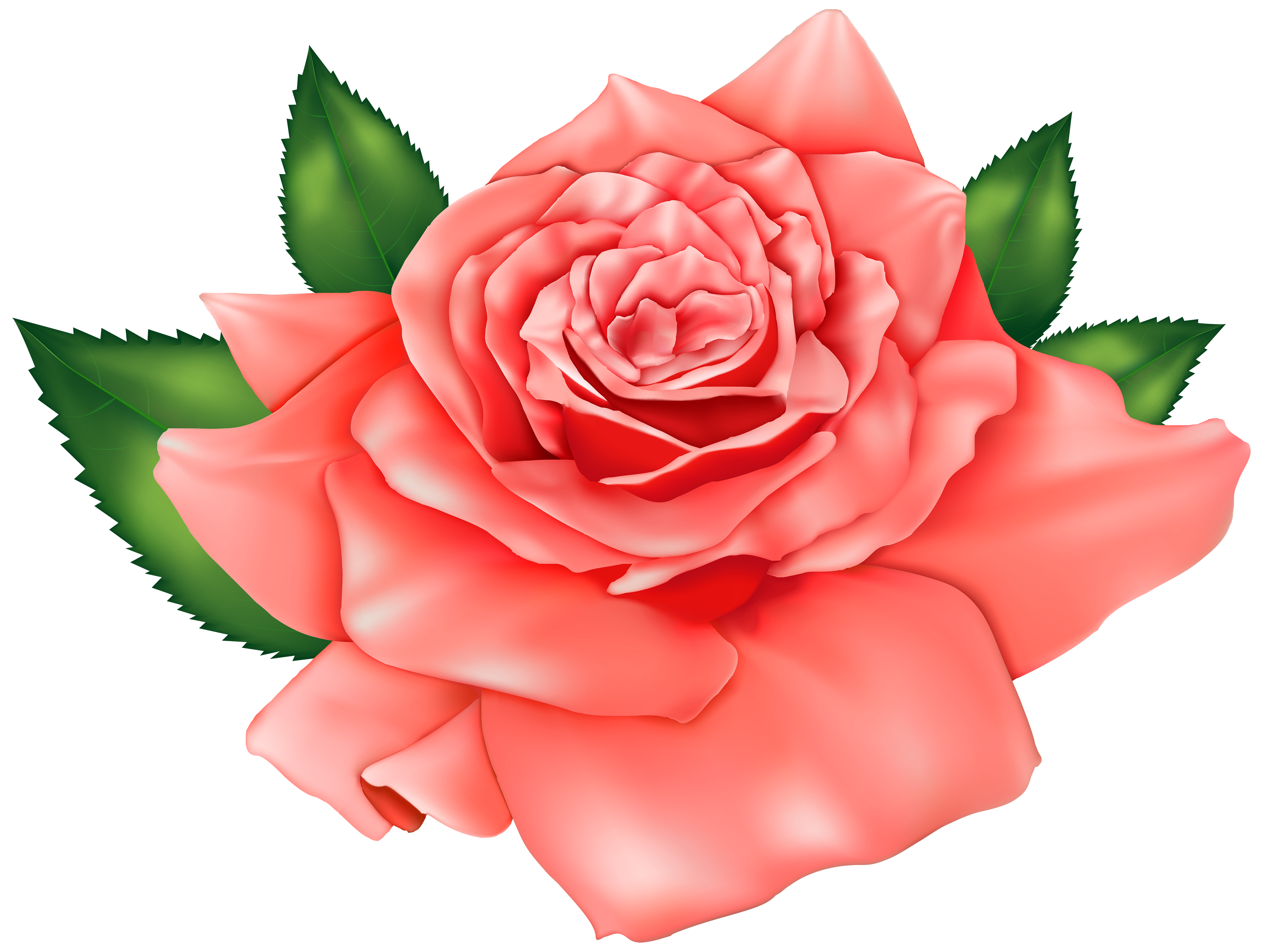 clipart of rose plant - photo #50