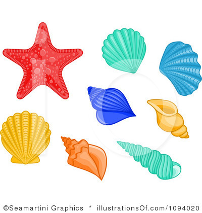 Seashells clipart - Clipground