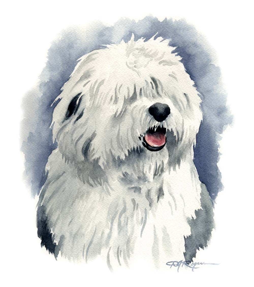 Sheepdogs clipart - Clipground