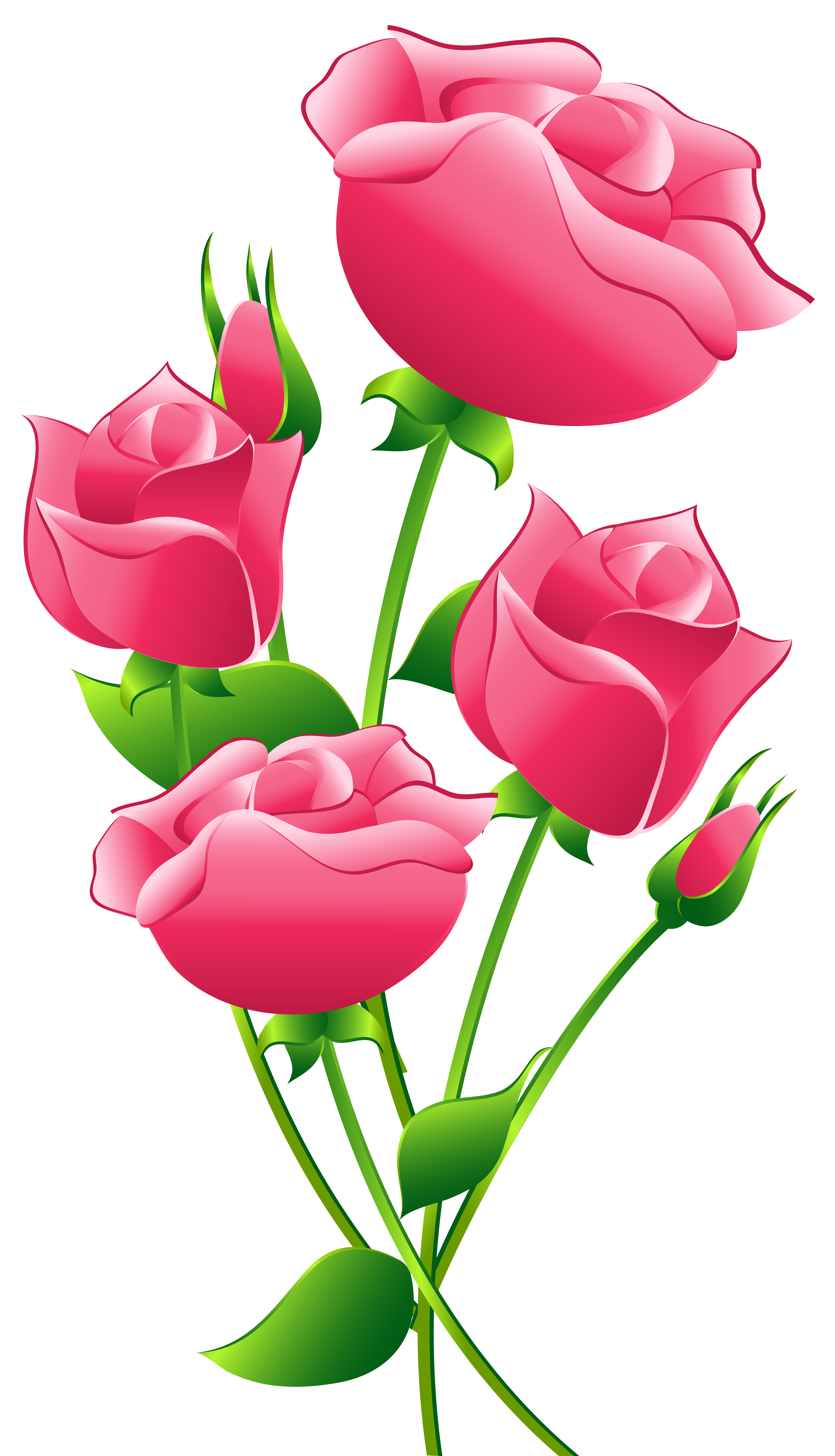 Pink Roses Clipart Clipground