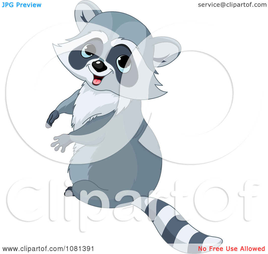 baby raccoon clipart - photo #16