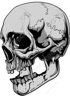 skull clipart mouth open - Clipground