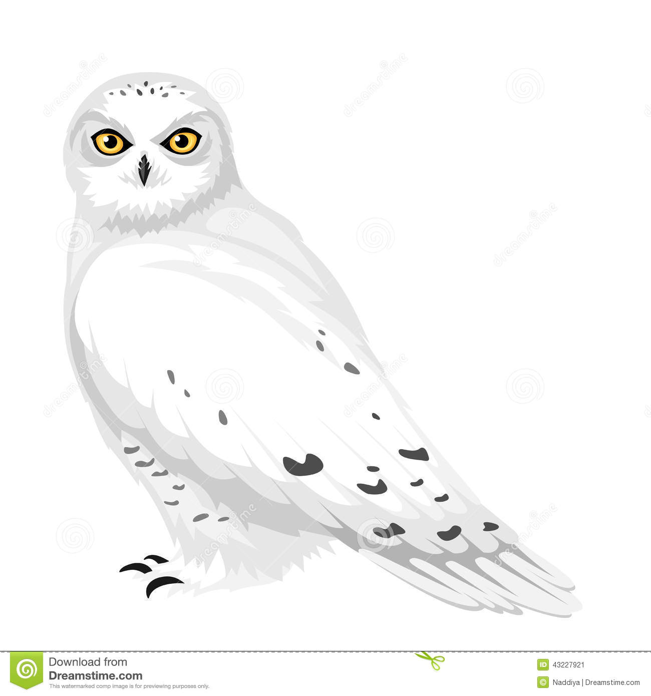 clipart snowy owl - photo #15