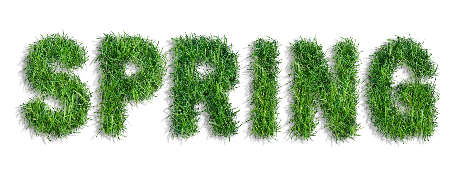 spring grass clipart - Clipground