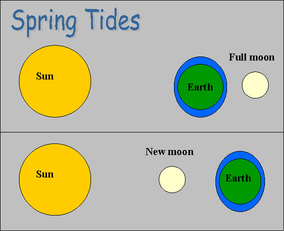 spring-tide-clipart-clipground