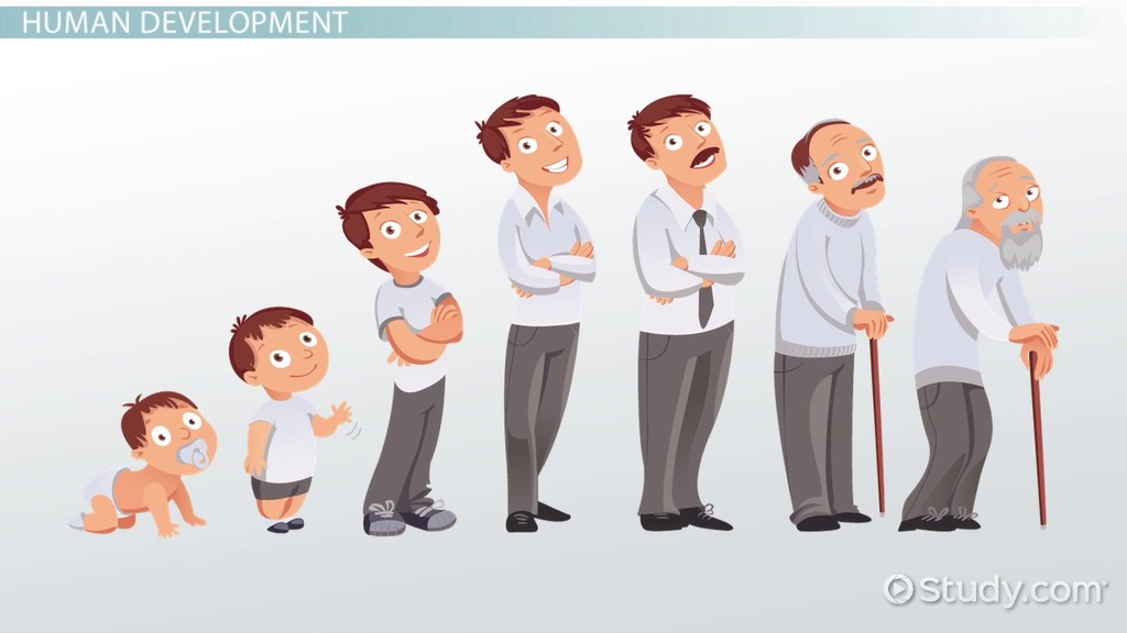 human development clipart - photo #11