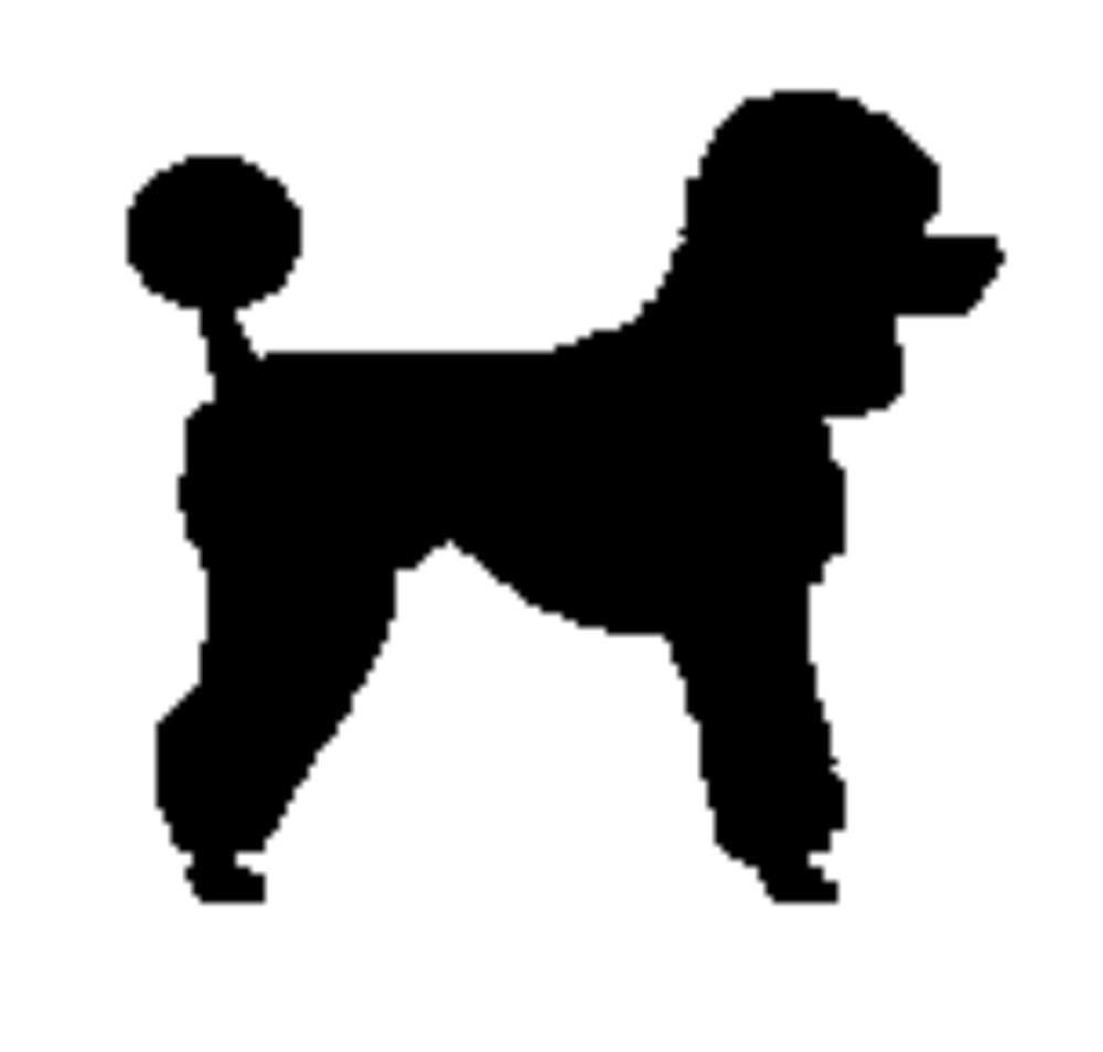 Standard poodle clipart 20 free Cliparts | Download images on