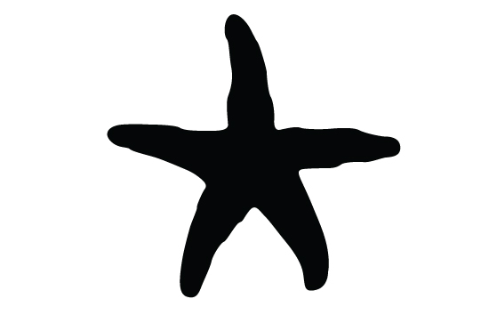 starfish clipart silhouette - Clipground