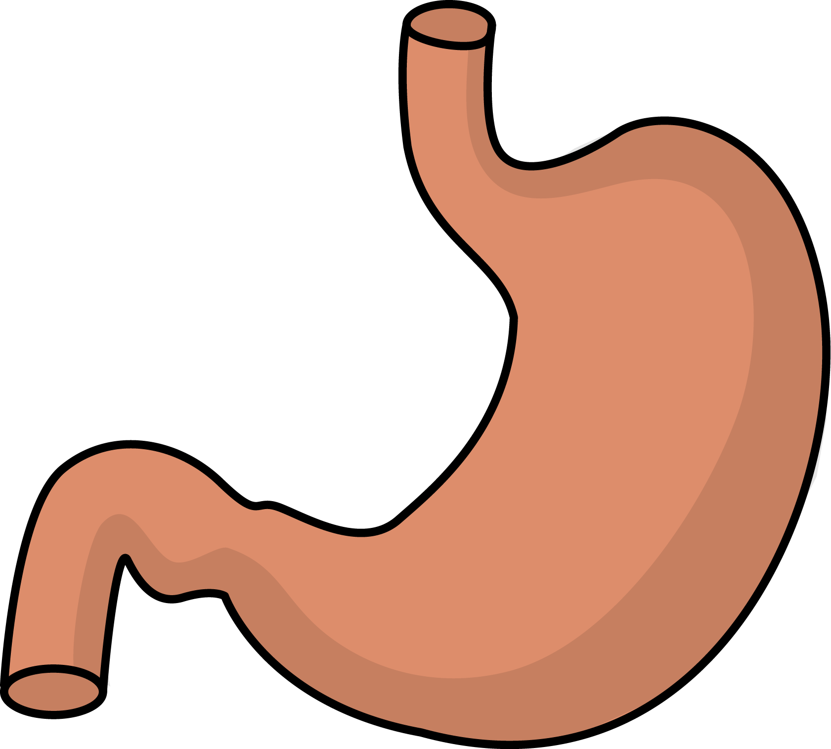 Stomach clipart - Clipground