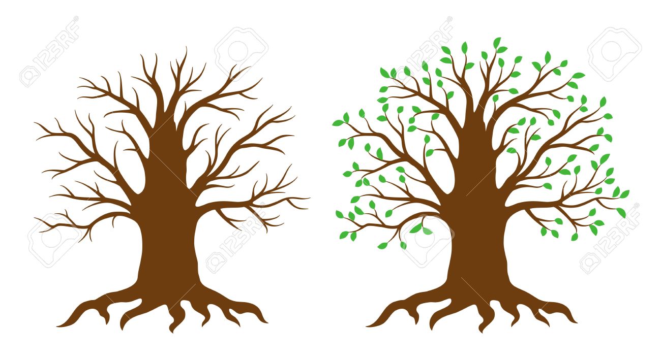 tree without leaves clipart - photo #31