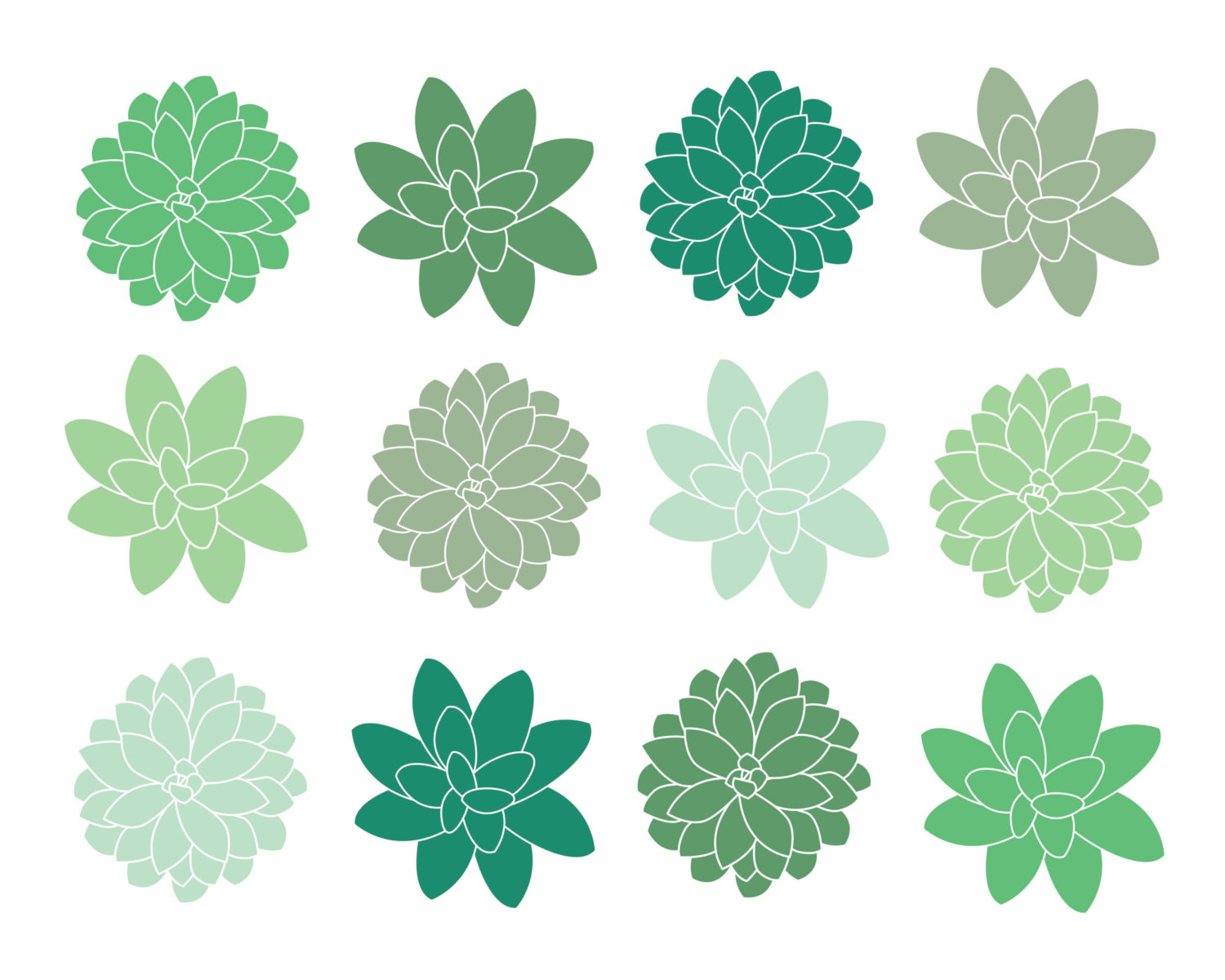 Succulents clipart - Clipground