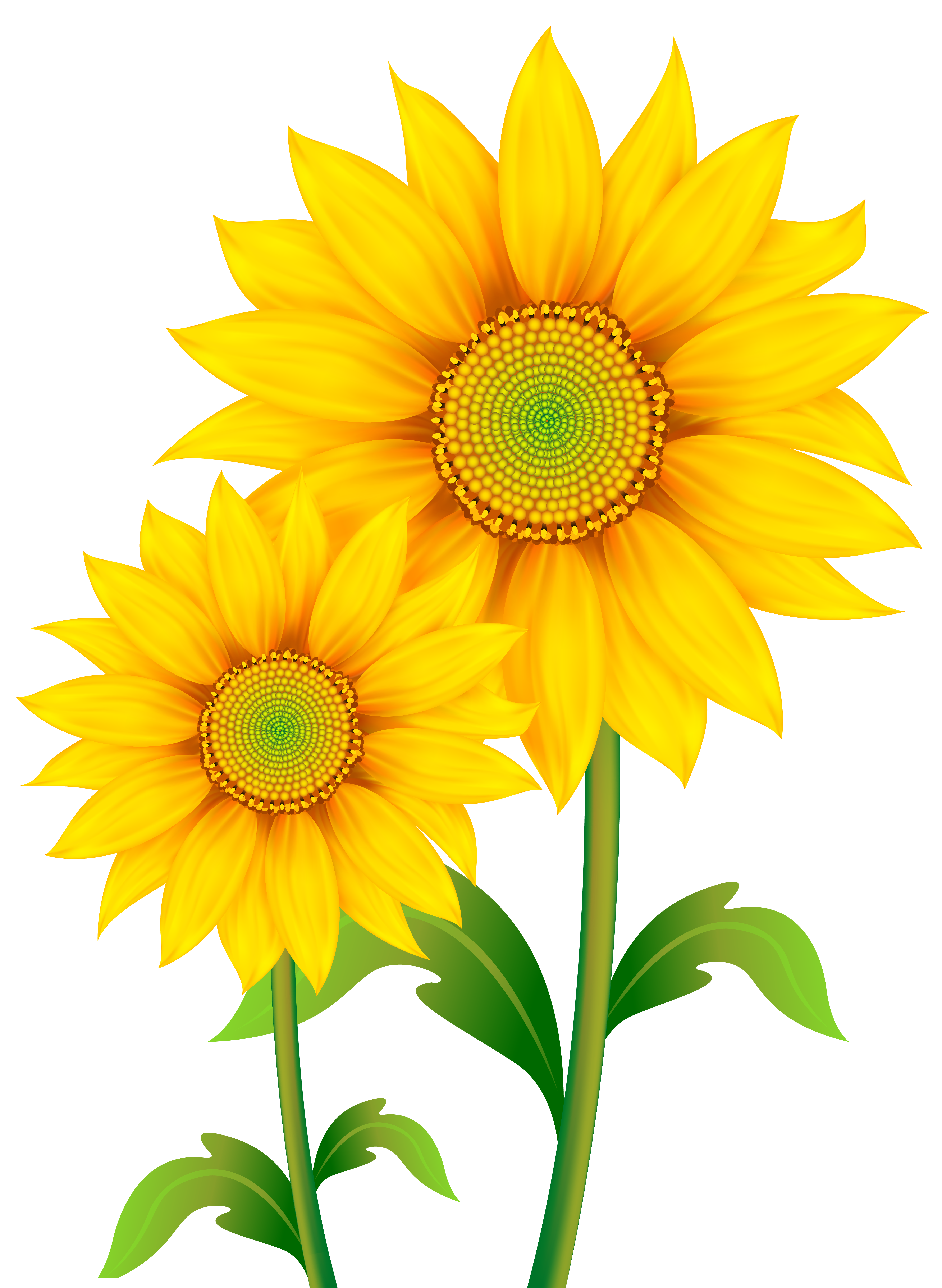 free clip art sunflowers flowers - photo #19