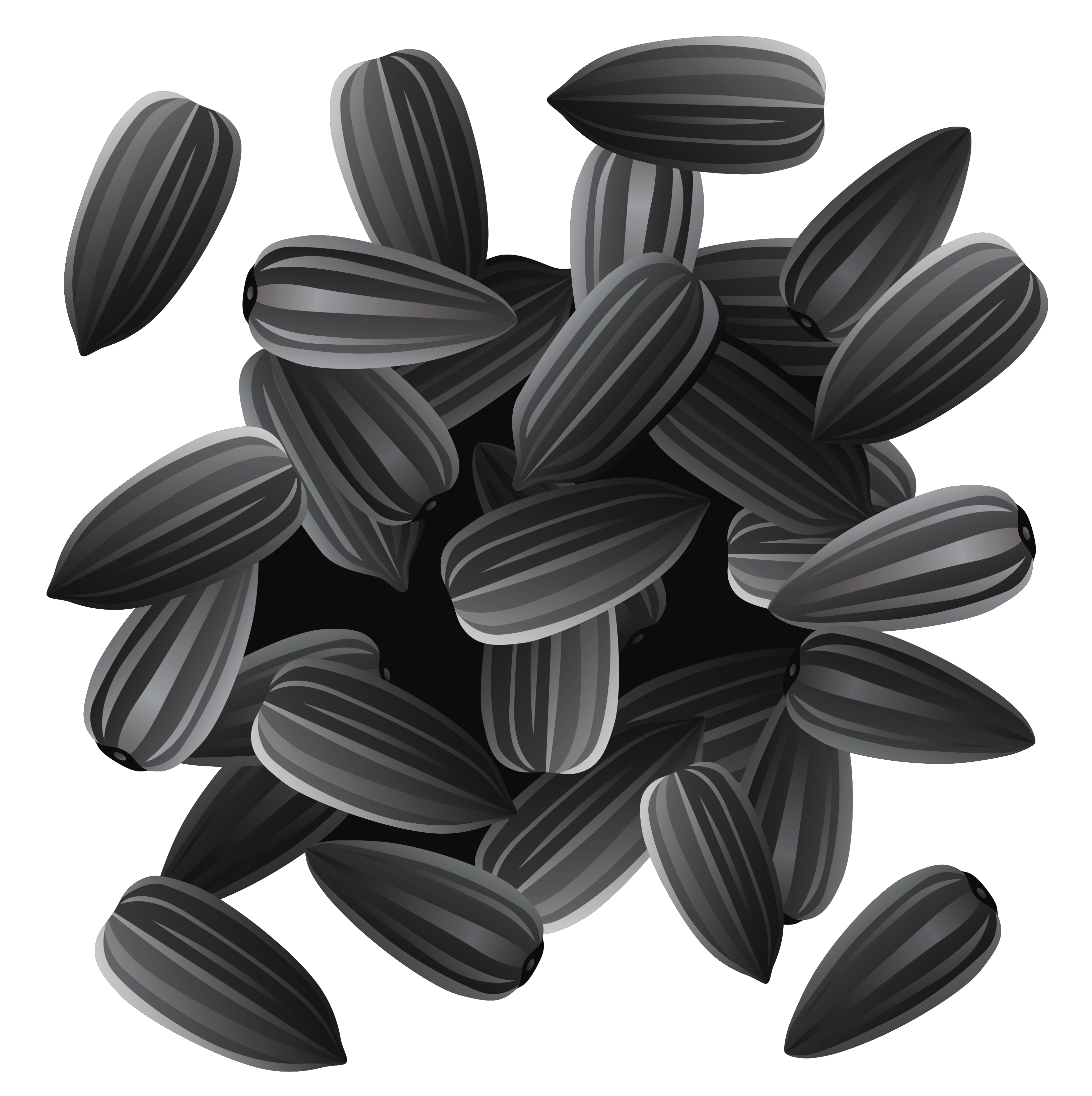 Sunflower seeds clipart 20 free Cliparts | Download images on