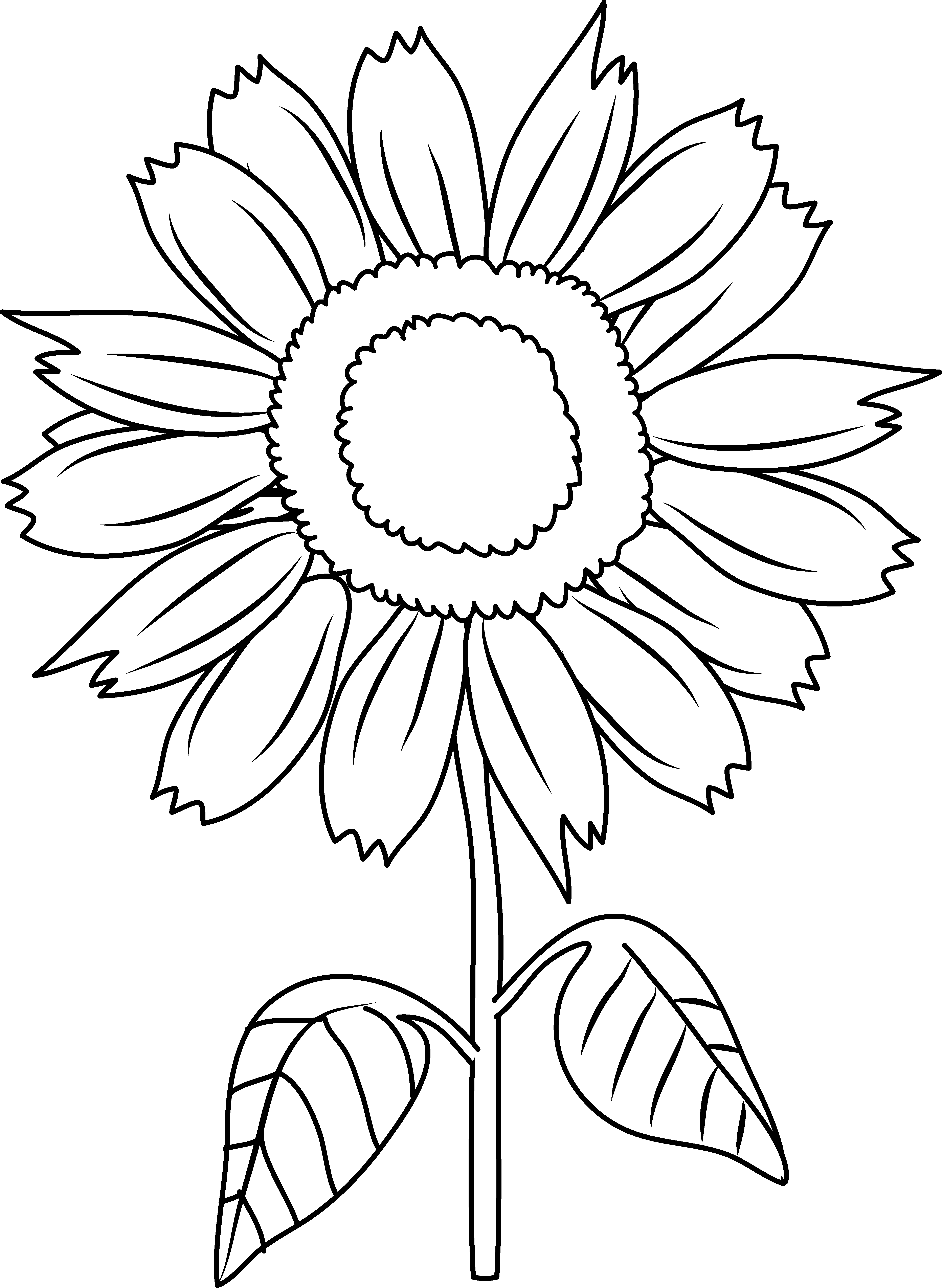 sunflowers clipart to color 20 free Cliparts Download