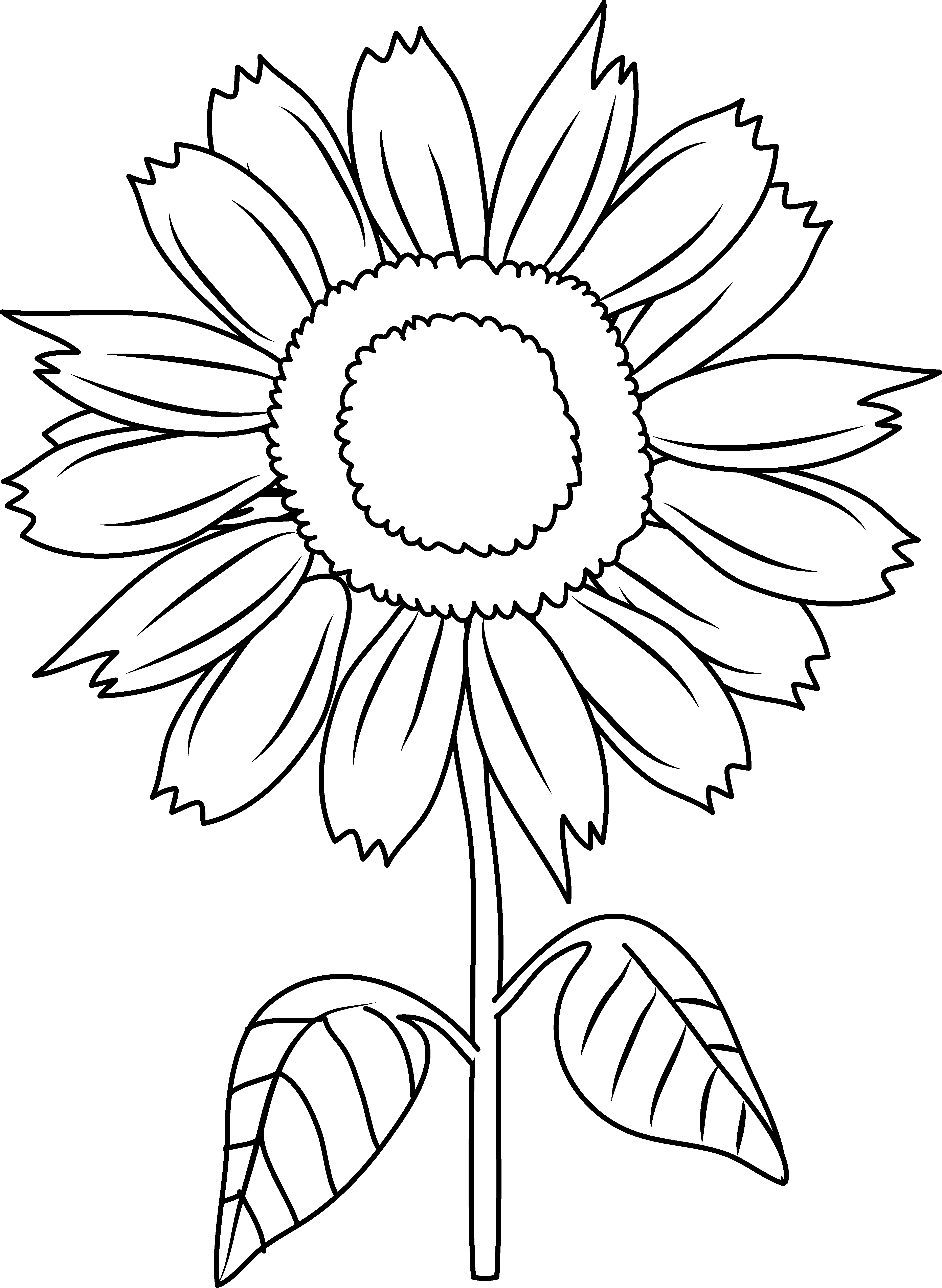 sunflowers clipart to color - Clipground