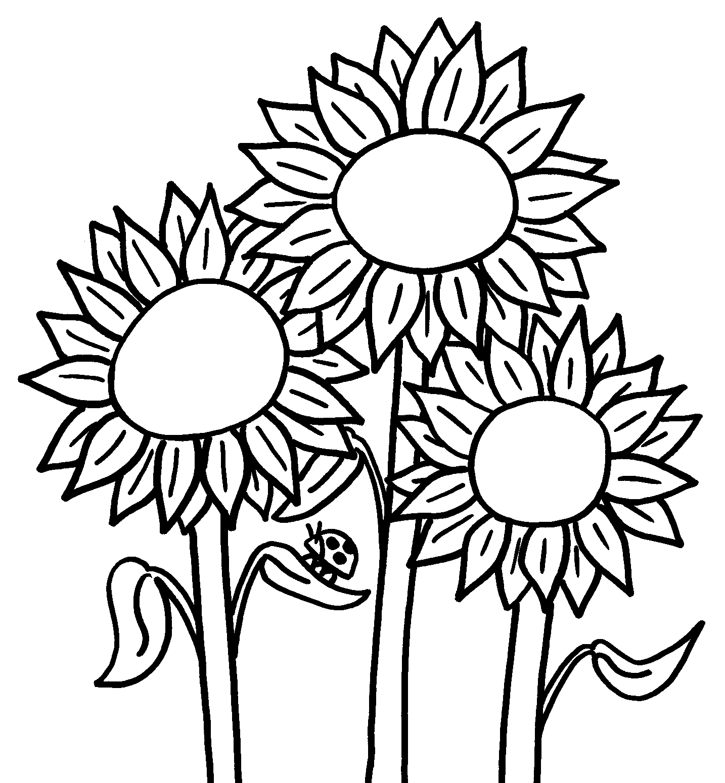 sunflowers-clipart-to-color-clipground