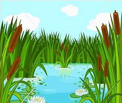 Swamp clipart - Clipground