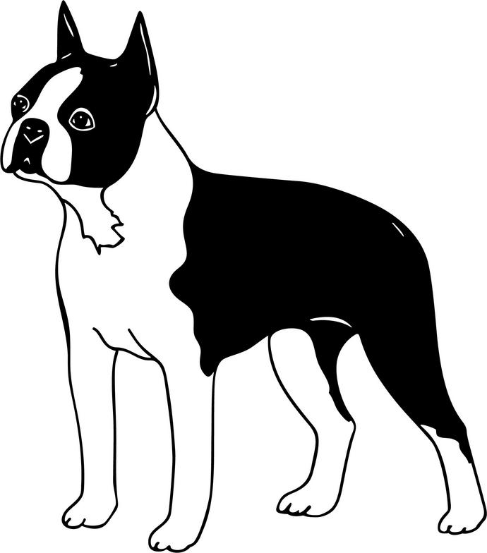 clip art border terrier - photo #36